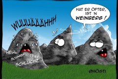 MUG-weinberg1-Kopie