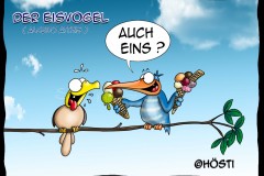 HVK-Eisvogel