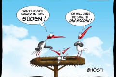 HVK ich will aber norden neu