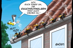 HVK rauchschwalben neu