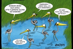 HVK reisende fertigmachenfrei neu