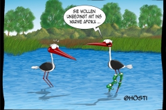 HVK wollen mit nach afrika
