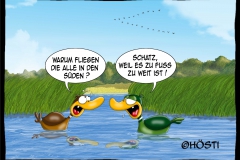 HVK zu fuss zu weit neu