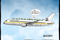 HVK zugvögel by airplane frei abg