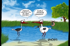 HVK zuviel frösche genascht abg