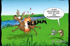 II Platzhirsch abg