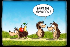II Spedition