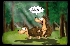 II aua