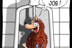 II scheiss job neu
