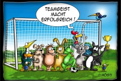 SG teamgeist