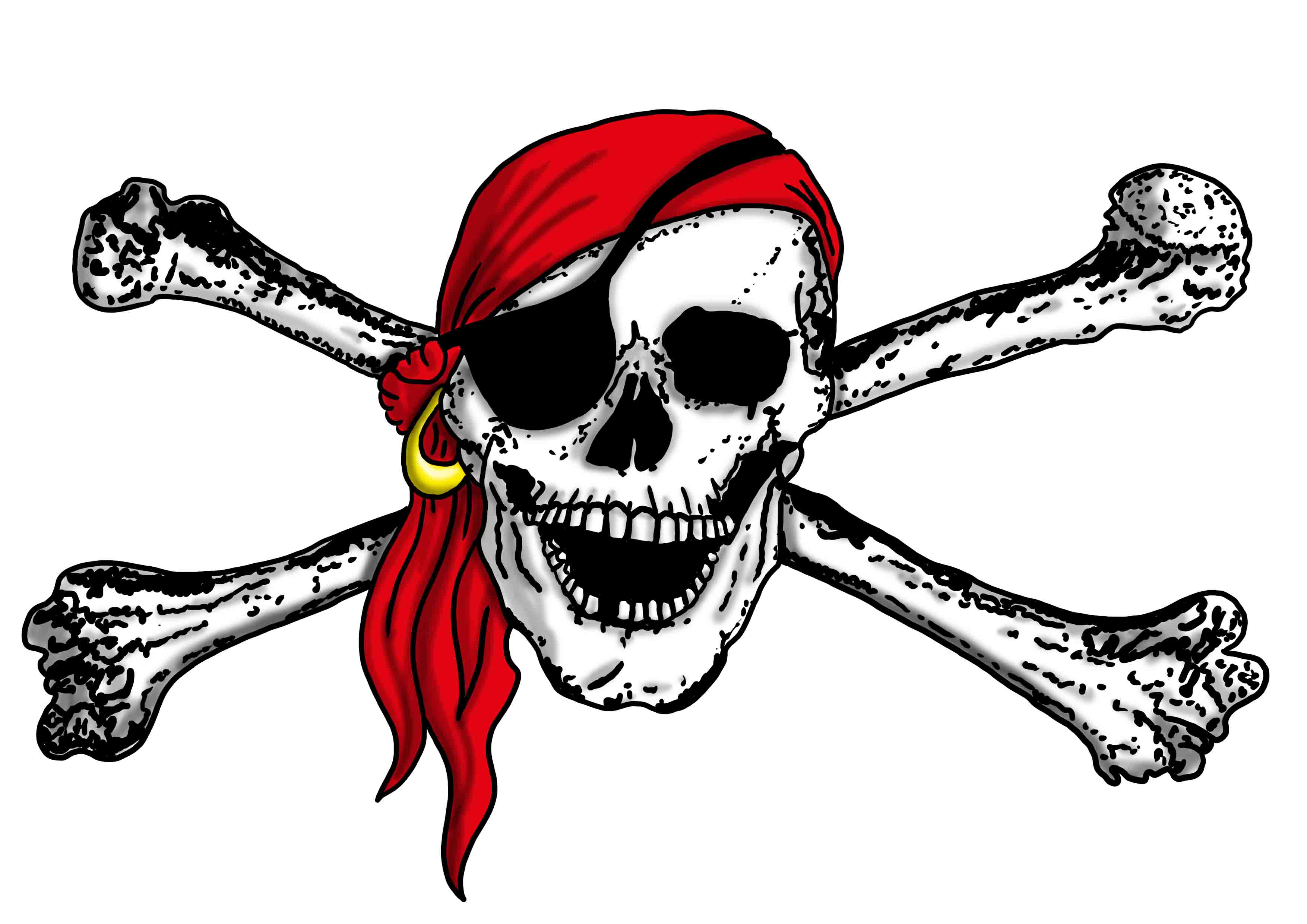 Piratenfahne 2013 offen