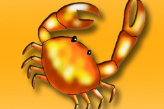 FLAPO 2012 sonne wasser frische luft KRABBE