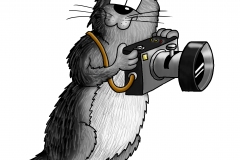 Otterlogo color abgelegt