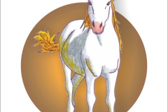 PFERD 3