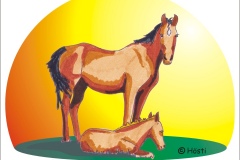 PFERD 4