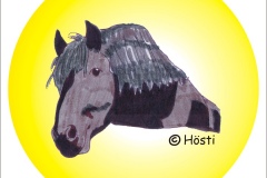 PFERD 6