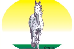 PFERD 7