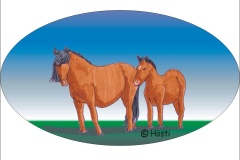 PFERD 8