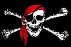 Piratenfahne schwarz 2013 offen