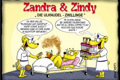Sandra Scheibner Cartoon 3