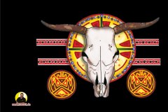 buffalo scull