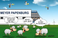 hohes-tier-teilabg