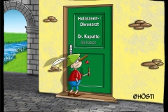 HMW Holznasenohrenarzt