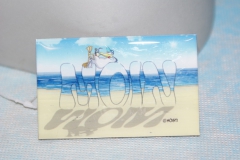 SONY DSC
