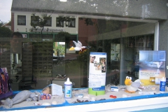 IMG_0024 (2)