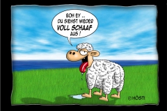 020 VS Voll schaaf neu