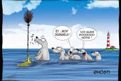 025 EK Seehunde pinkeln 3