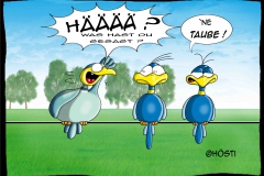 030HVK taube
