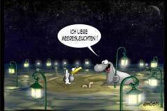 EK Meeresleuchten