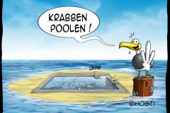 EK krabben poolen