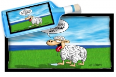 FPvoll schaaf