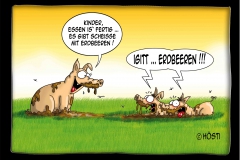 HS Erdbeeren
