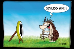 II scheiss wind