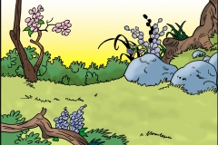 FF hintergrund waldrand frei color
