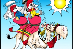 FF komplettbild wüste kamel frei