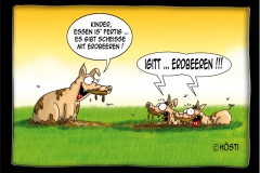 HS-Erdbeeren