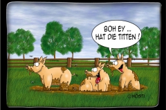 HS-titten