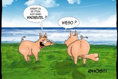 HS-windbeutel