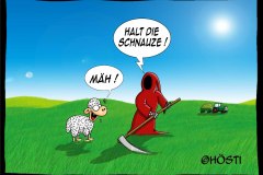 HKS-Maeh-schnauze