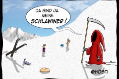 HKS schlawiner