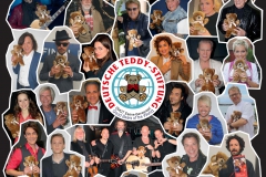 94450-Poster-dt-Teddy-Stiftung-A1.indd