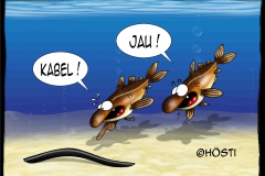EK Kabeljau