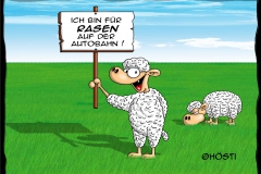 VS rasen auf der Autobahn