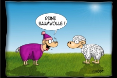 VS reine Baumwolle
