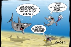 EK-Ab-in-die-Haia