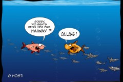 EK-Haiway